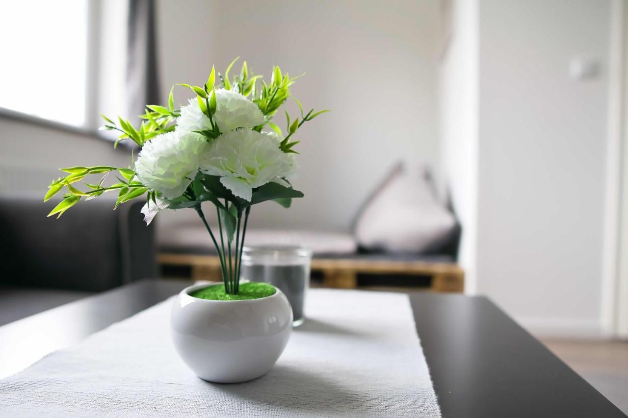 Heide Ferienwohnung Sued Schneverdingen Extérieur photo