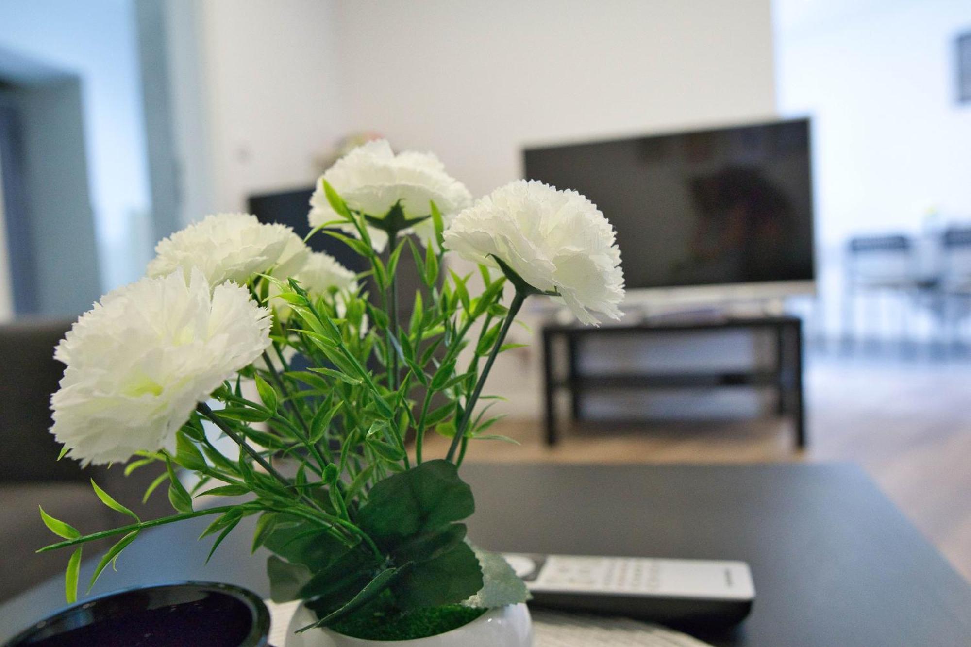 Heide Ferienwohnung Sued Schneverdingen Extérieur photo